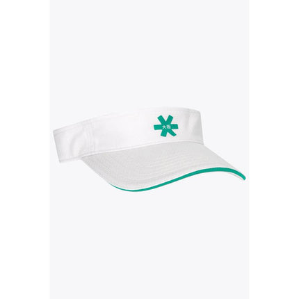 Osaka Visor