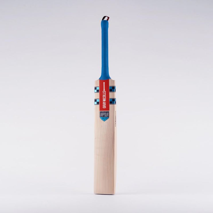 Gray-Nicolls Vapour Gen 1.0 200 Junior Cricket Bat 2022