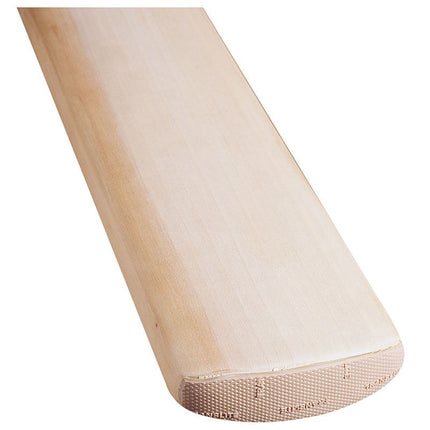 Gray-Nicolls Protectoe