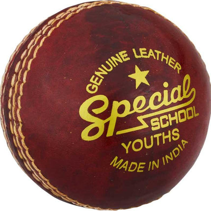 Readers Special School Cricket Ball Youths