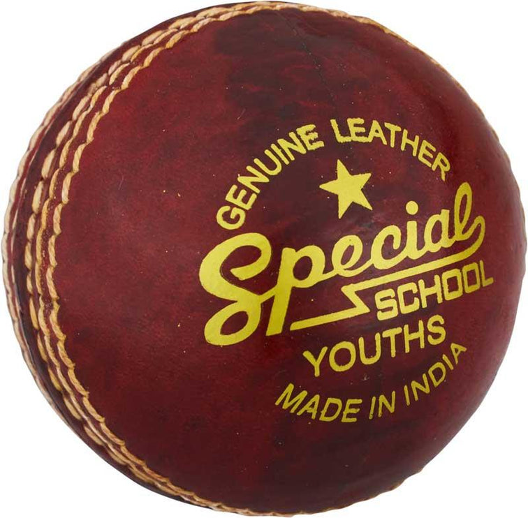 Readers Special School Cricket Ball Youths