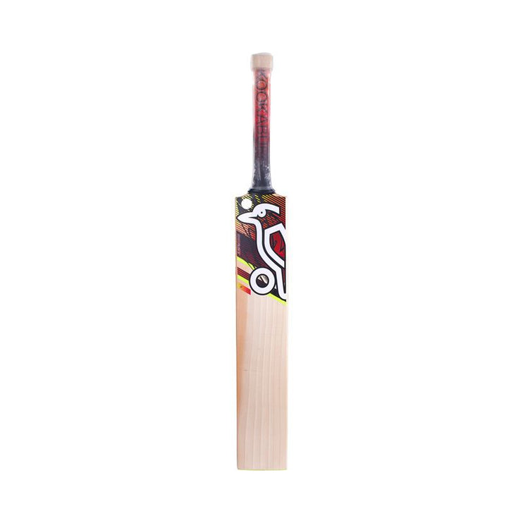 Kookaburra Beast 3.1 Junior Cricket Bat 2023