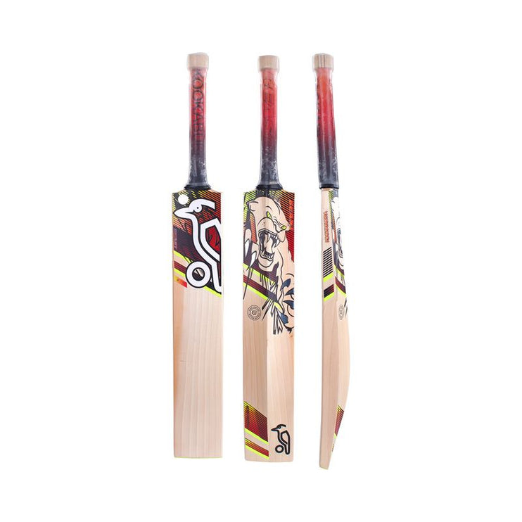 Kookaburra Beast 3.1 Junior Cricket Bat 2023