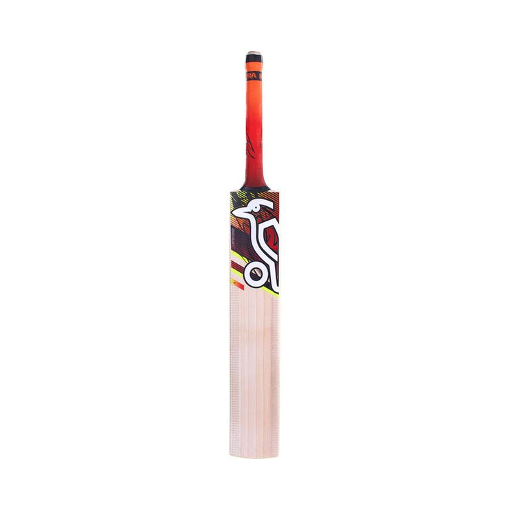 Kookaburra Beast 9.1 Junior Cricket Bat 2024