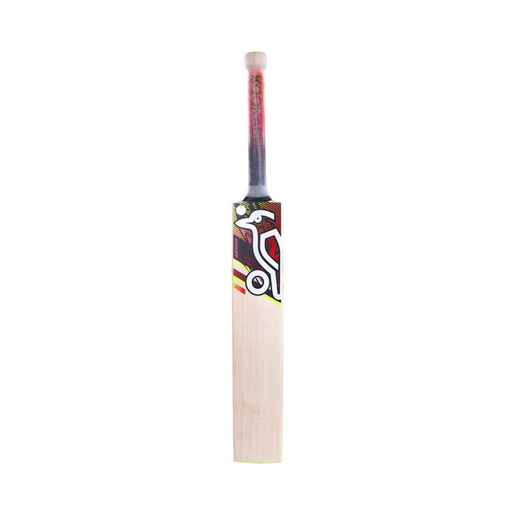 Kookaburra Beast 6.2 Cricket Bat 2023